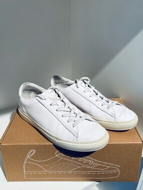 Everlane The Day Sneaker Parchment Sz 9